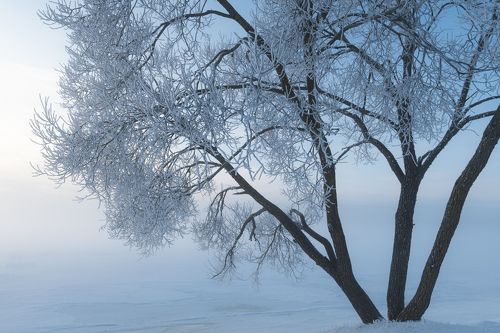 Февраль 2019