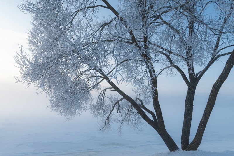 #зима #winter Февраль 2019 фото превью