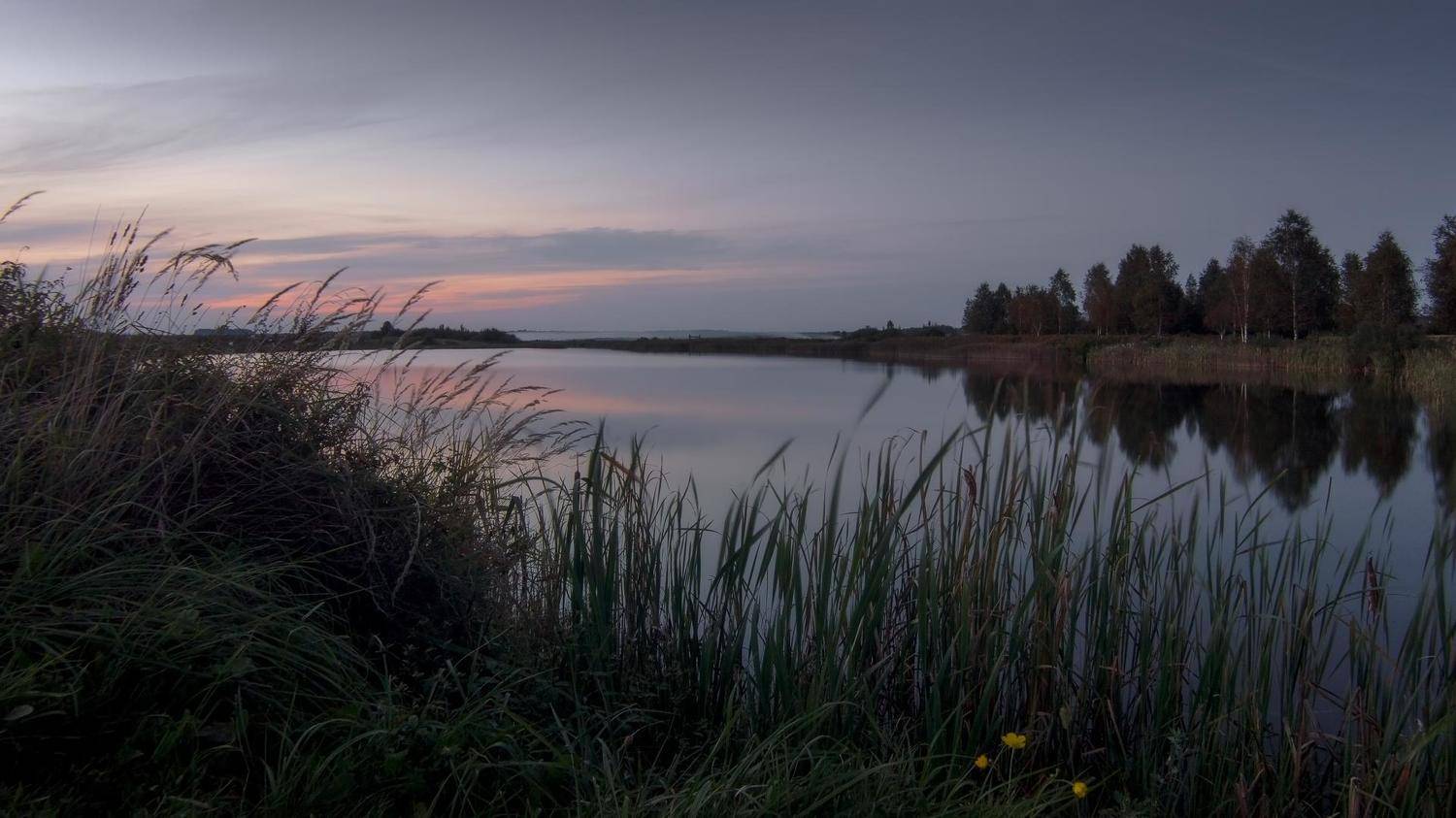 , Полина Хрол