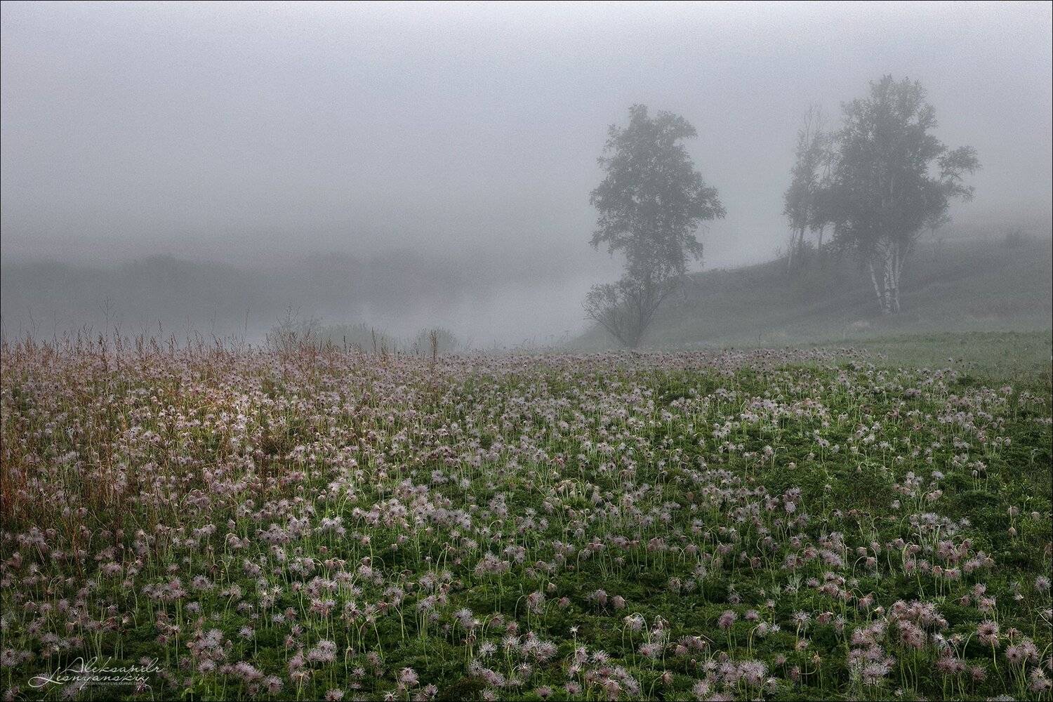 забайкальский край, газимур, Александр Леснянский