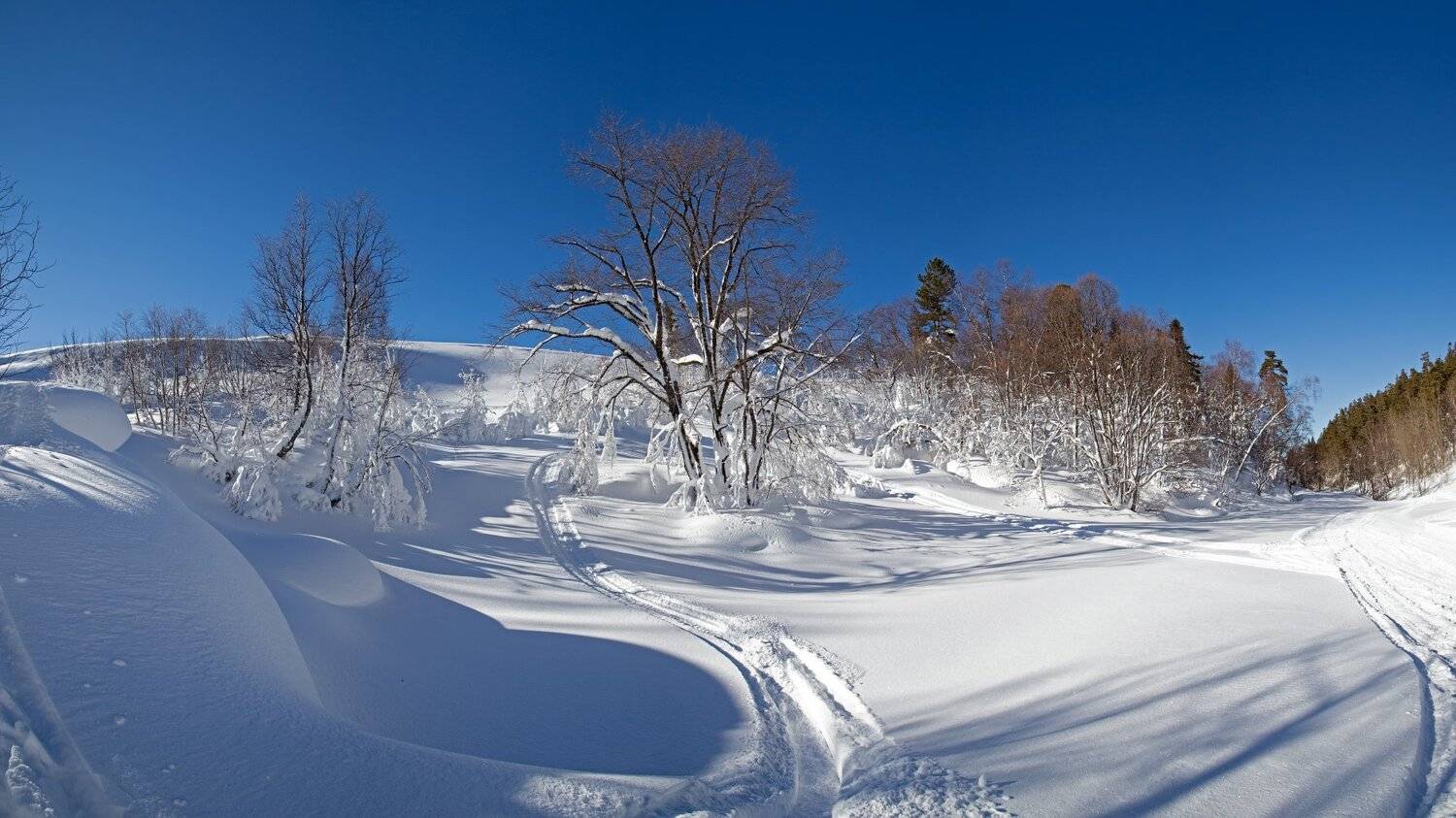 , Алексей Рыльский