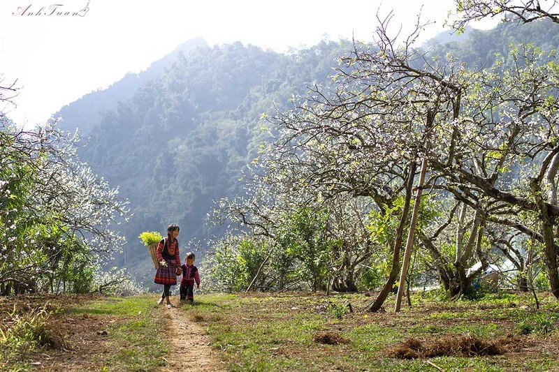 #sellingphoto #landscape Spring фото превью