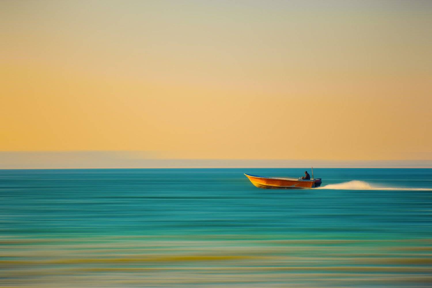 , Farshad Yazdankhah