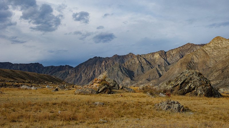 _ фото превью