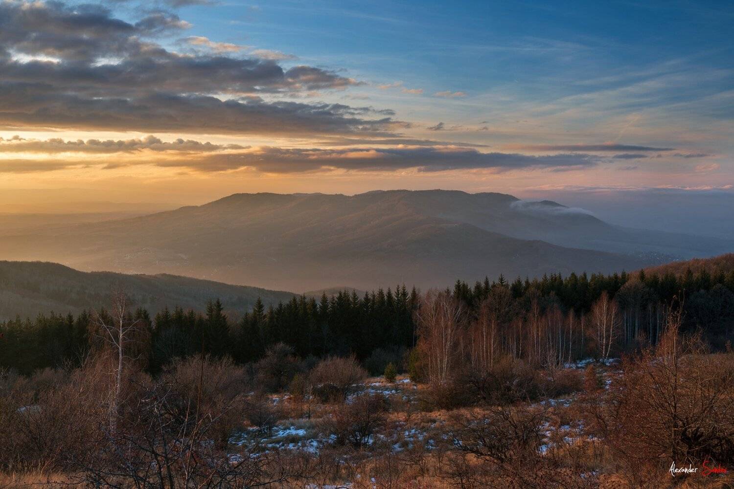 , Александър Сандев