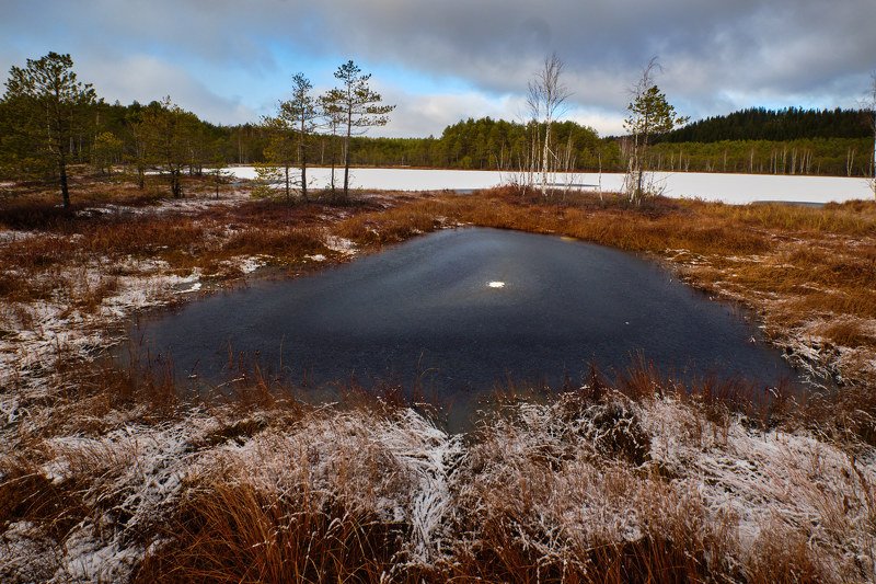 болото, осень, озеро Око фото превью