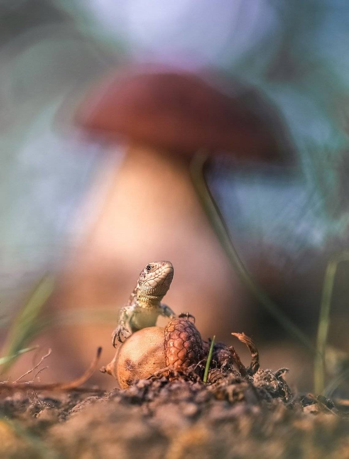 , Вячеслав Мищенко