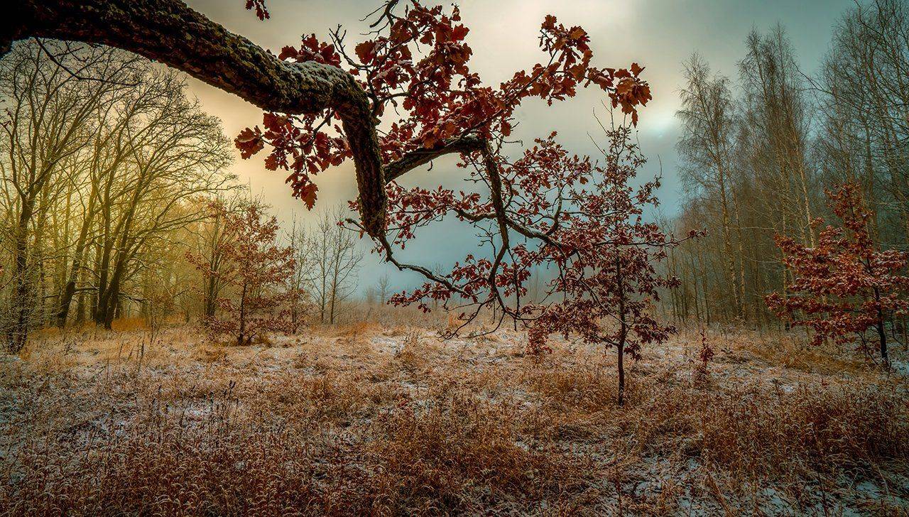 , Игорь Кляхин