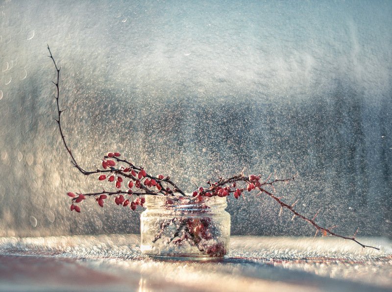 Солнечный барбарис фото превью