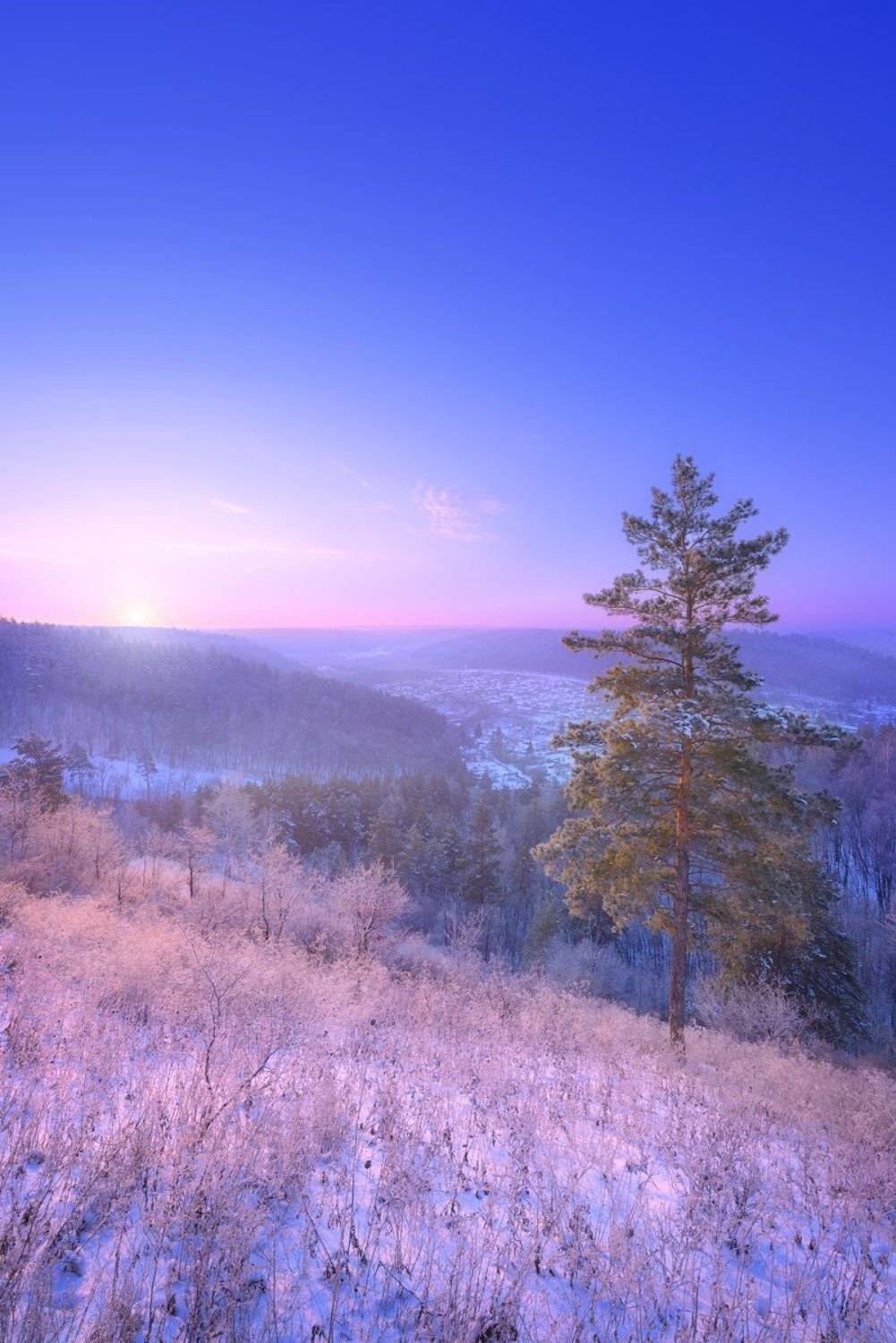 , Александр Тормосин