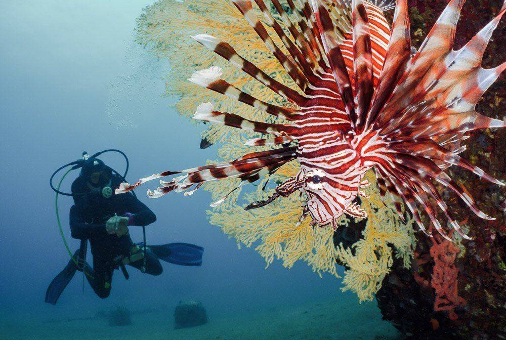 , Андрей Савин