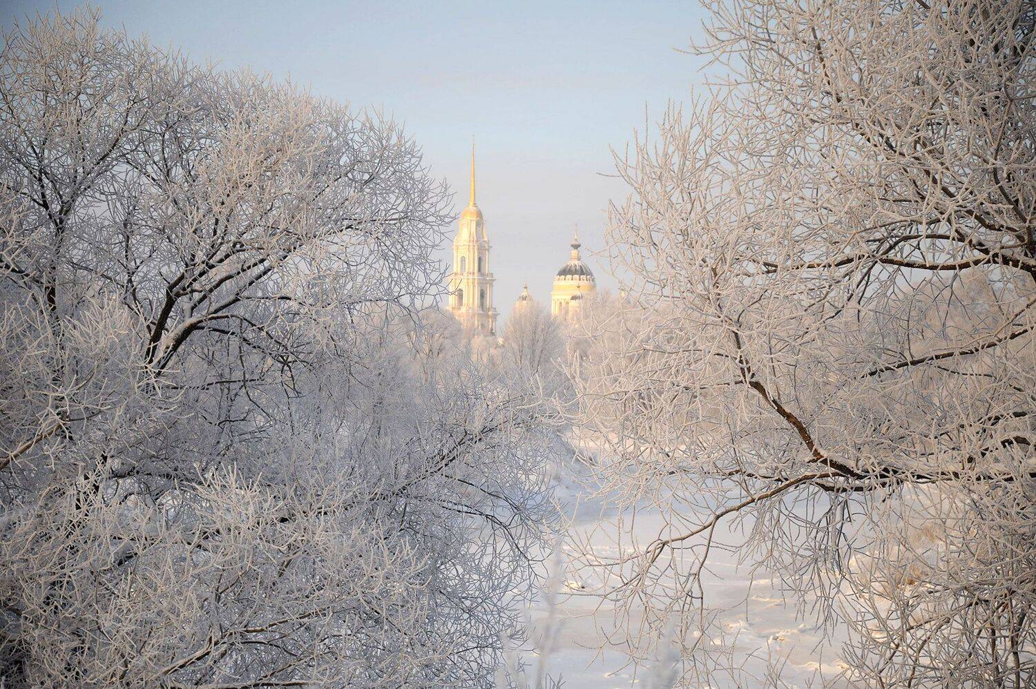 , Дарья Васильева