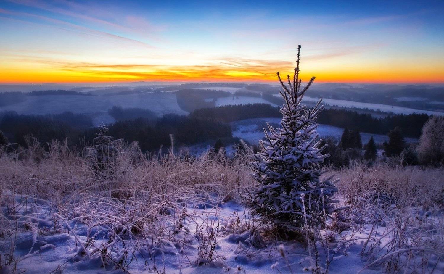 удмуртия, поля, пейзаж, холмы, утро, пейзаж, шаркан, шарканский район, Vyacheslav Lozhkin