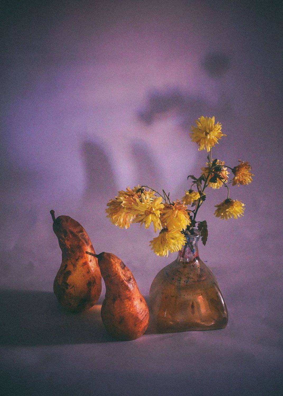 stillife,photography,yellow,light,fall,, mustafa yagci