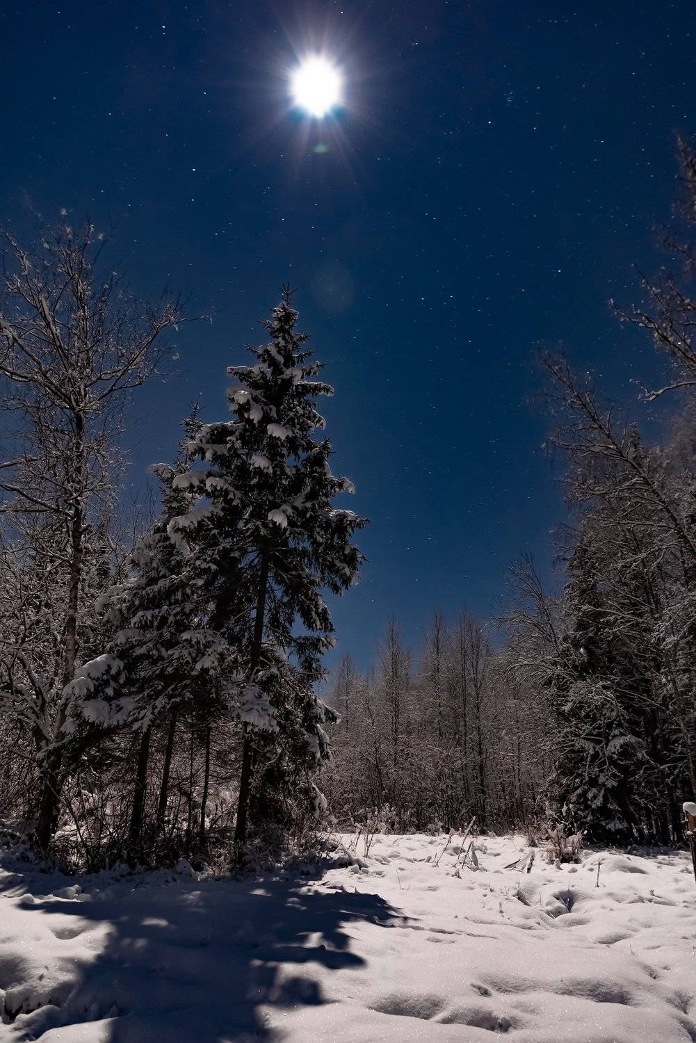 , Руслан Авдевич