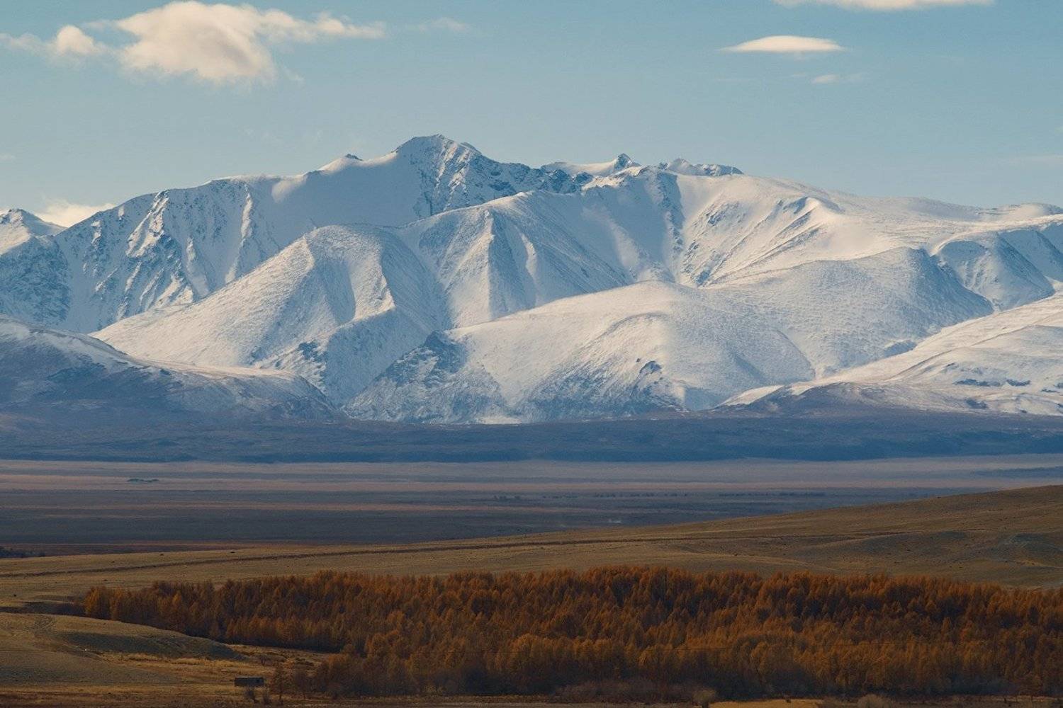 , Олег Логунов