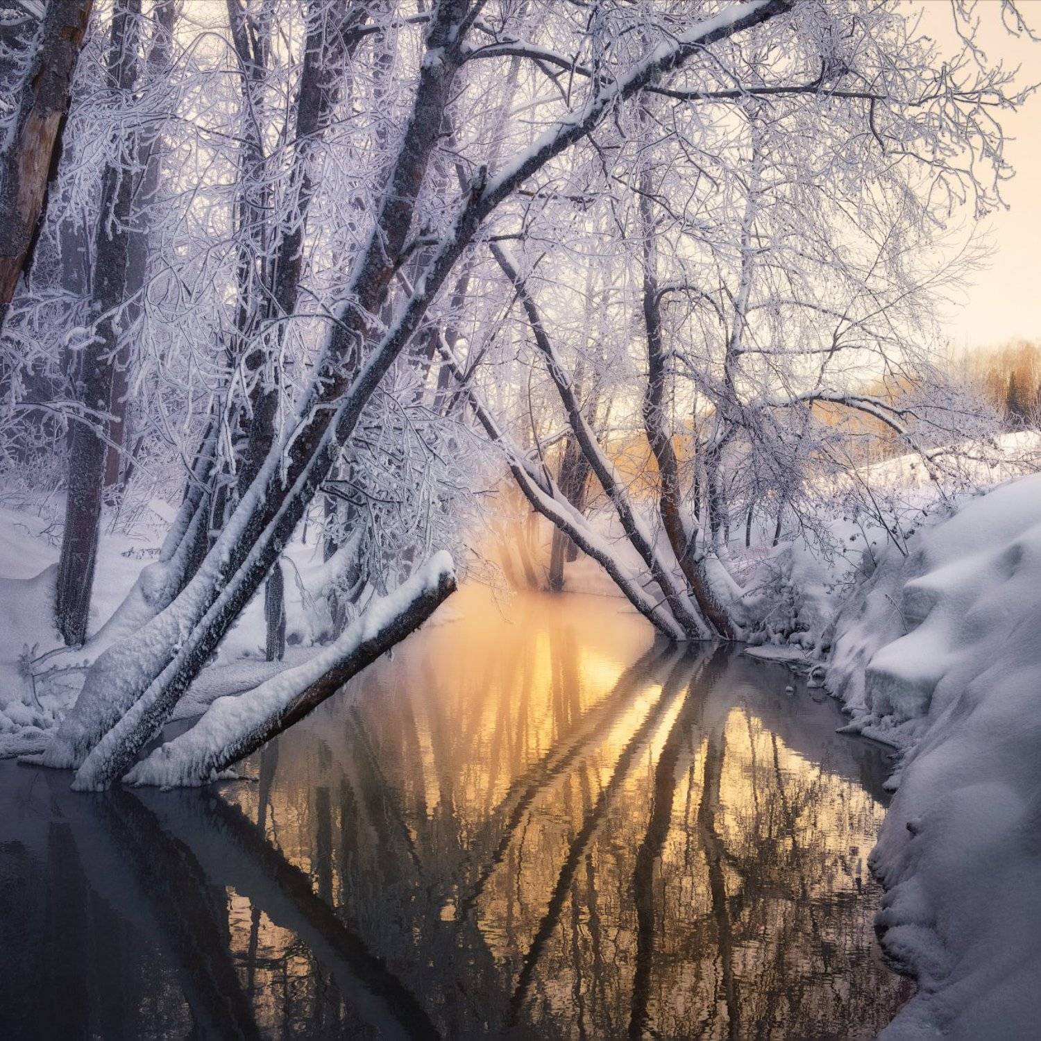 зима, река, иней, Дмитрий Медянцев