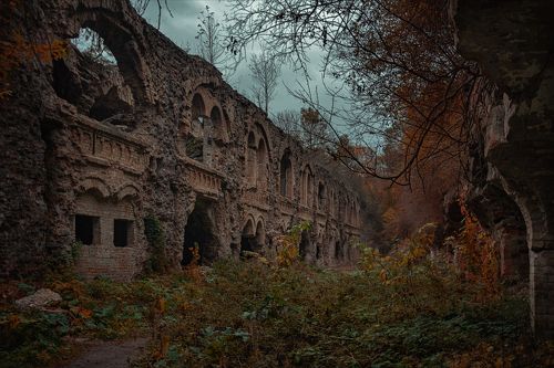 Таракановский форт