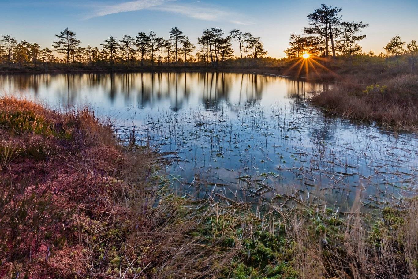 , Александр Абросимов