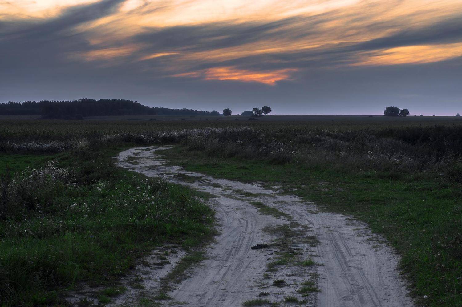 , Полина Хрол