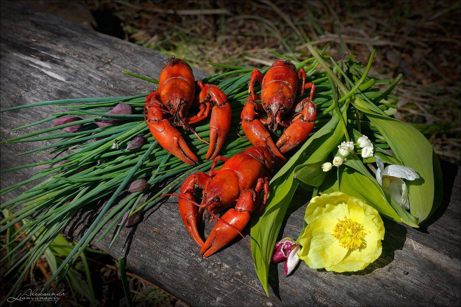 , Александр Леснянский