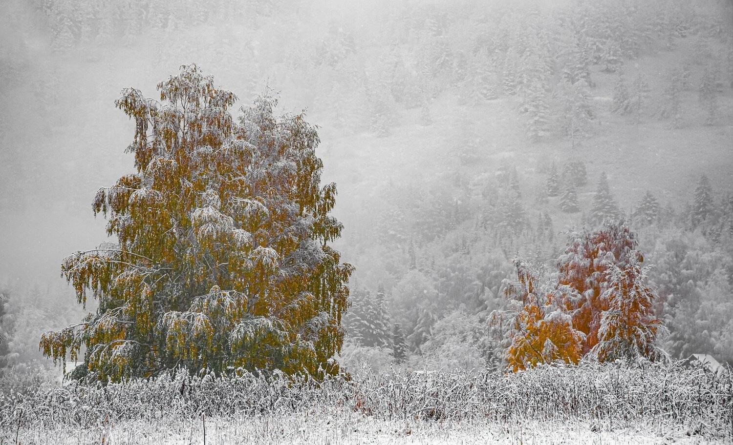 алтай. осень. горы., Евгений Дроботенко