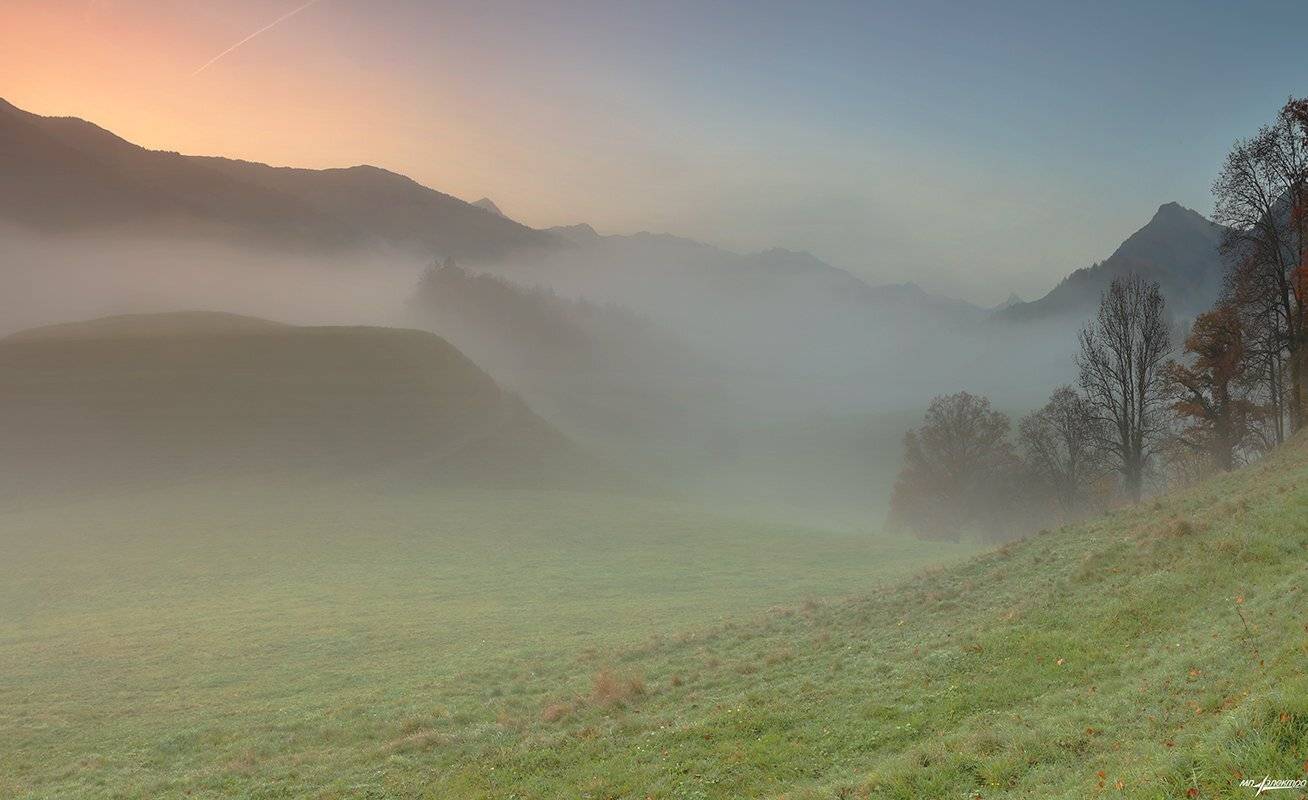 swiss, Матвеев Николай