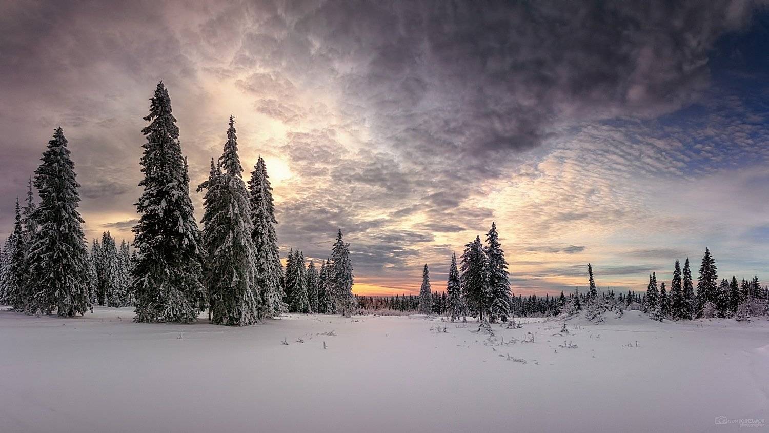 , Антон Кошетаров