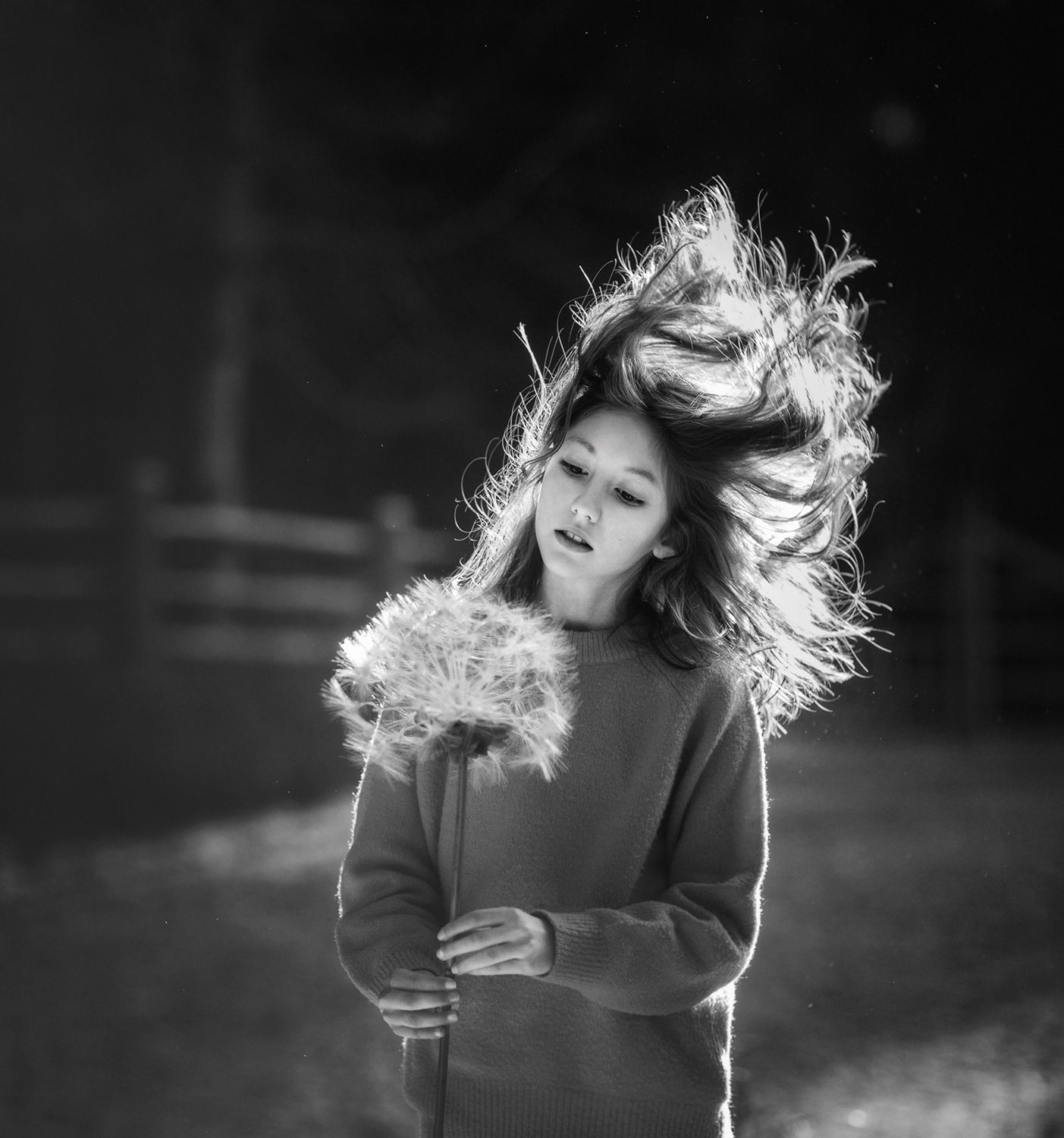 , Desislava Kuleshova