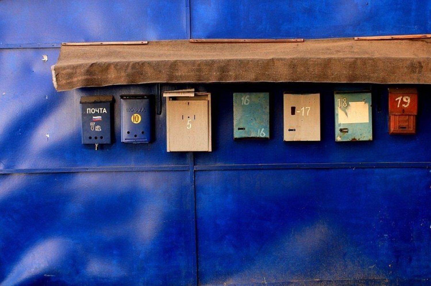 , Сюзанна Шевченко