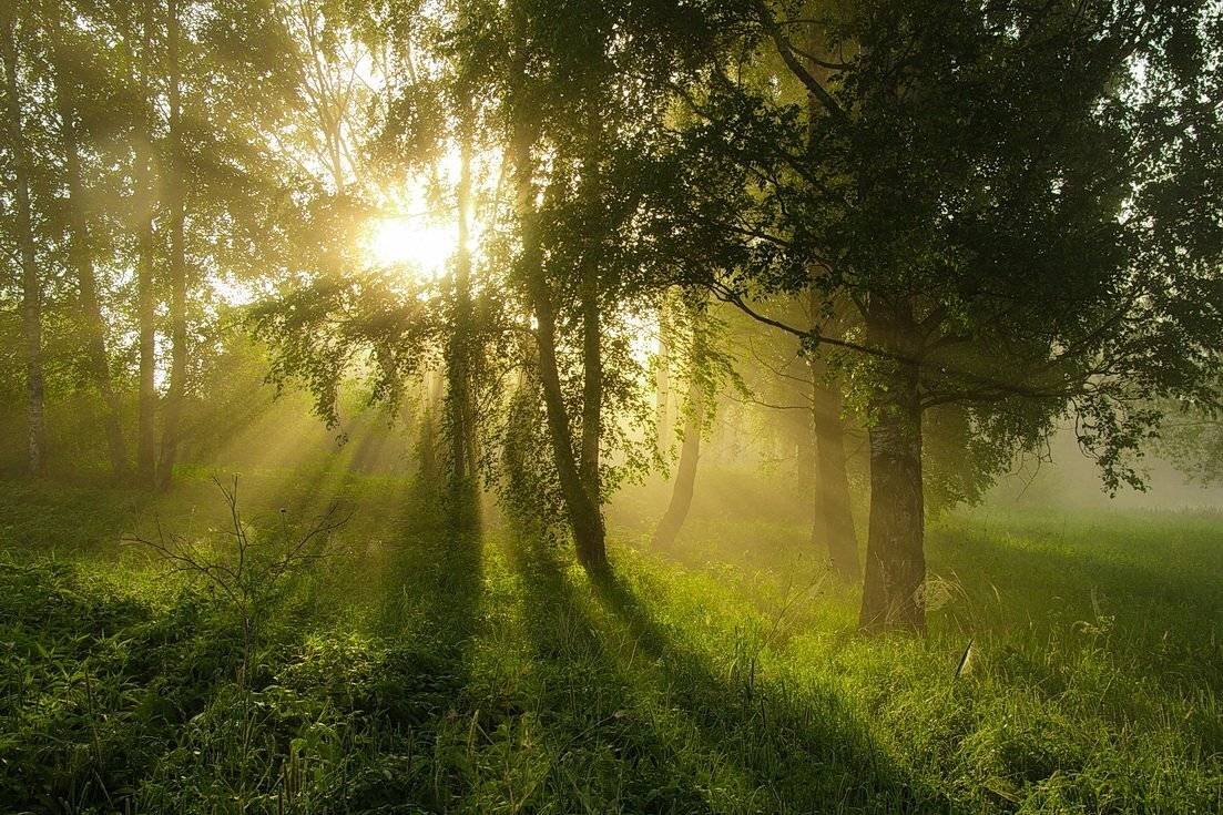 , Вилюнов Дмитрий