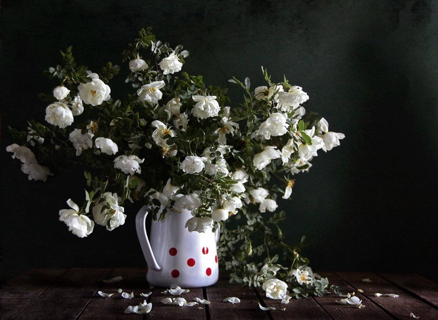 цветы, натюрморт, Svetlana Ра