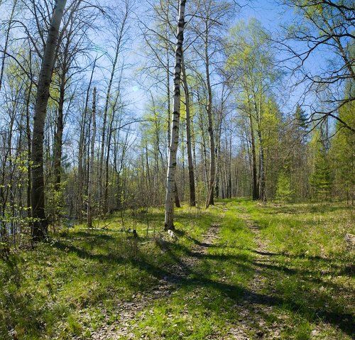 Pro дороги весны