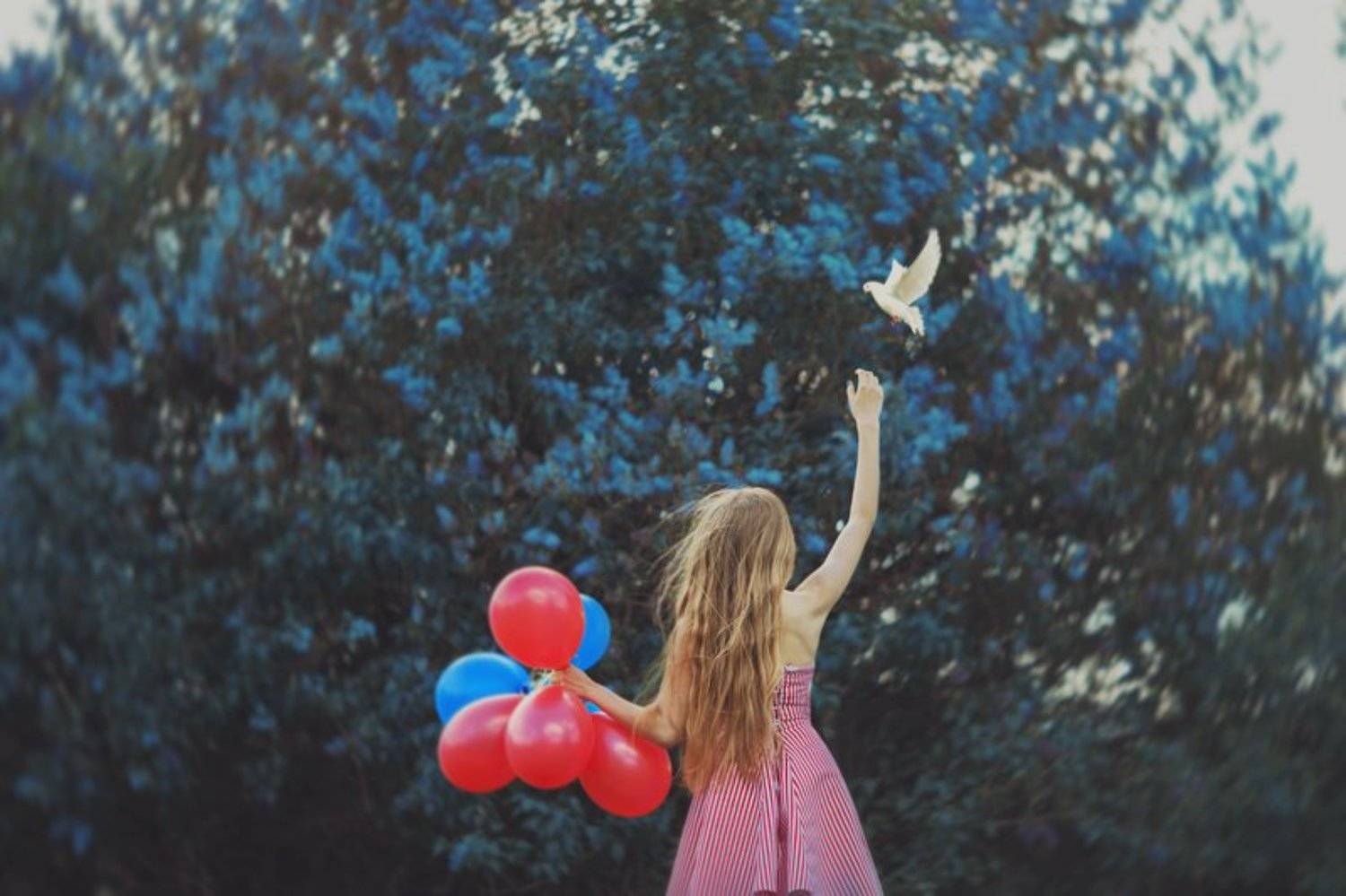 , Татьяна Кошутина