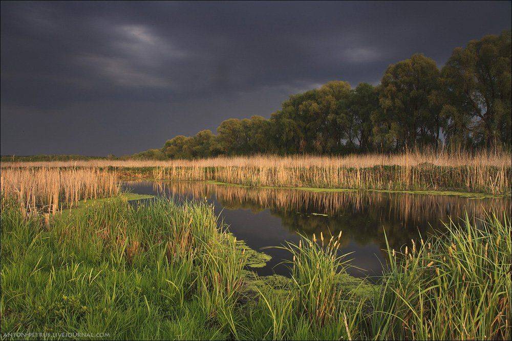 , Антон Петрусь