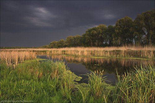 Гроза