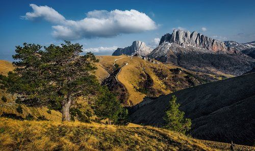 Как у наших у ворот...