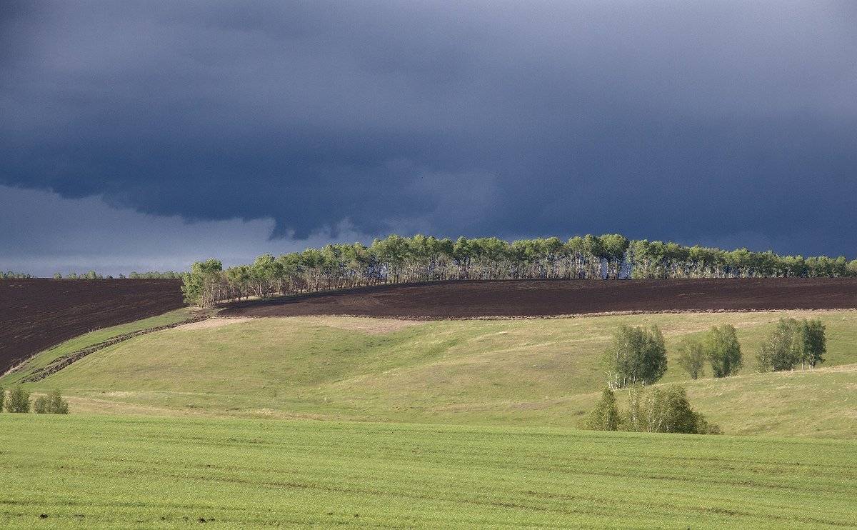 , Николай Морский