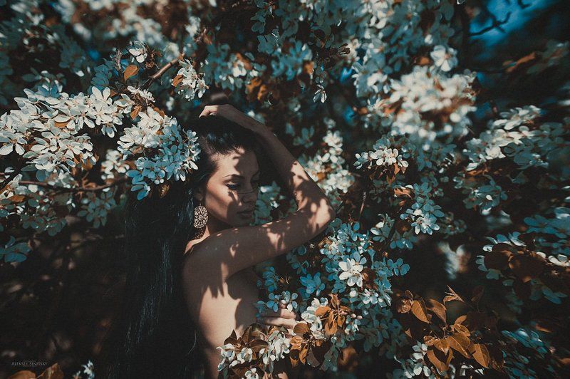 N.Sh. фото превью