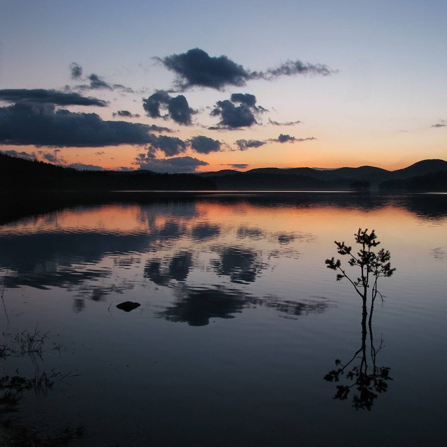 , Ирина Костова