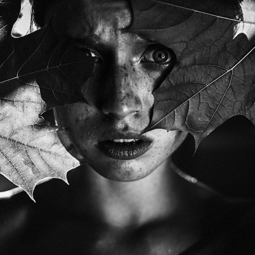 , Tertius Alio