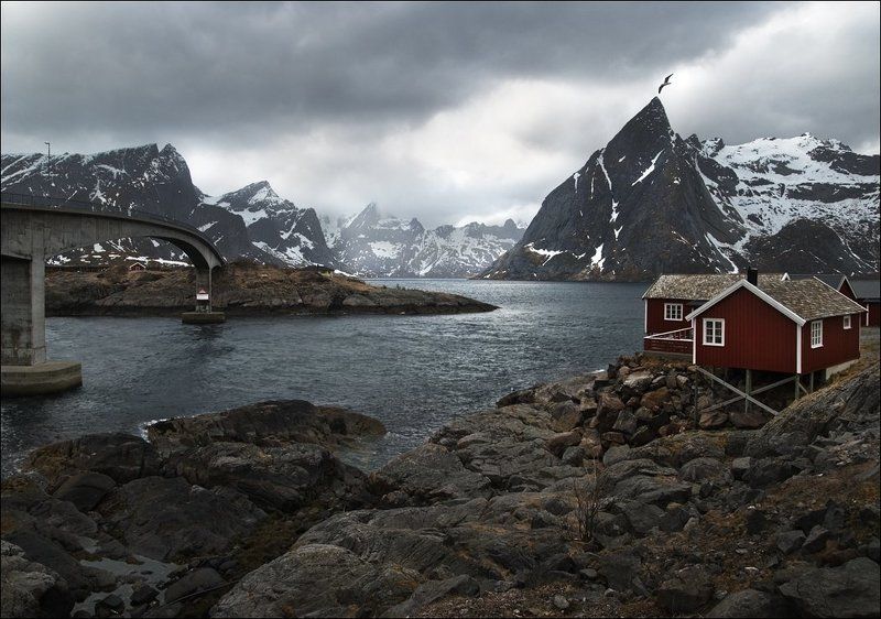 Горы, Лофотены, Мрачно, Ненастье, Норвегия, Рейне, Рорбу, Тучи, Чайка  фото превью