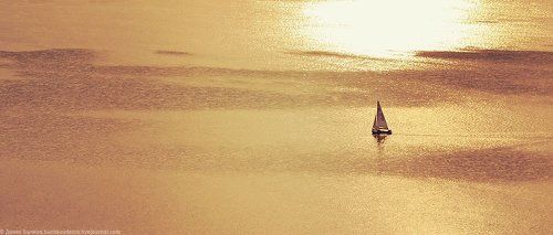 Golden sea