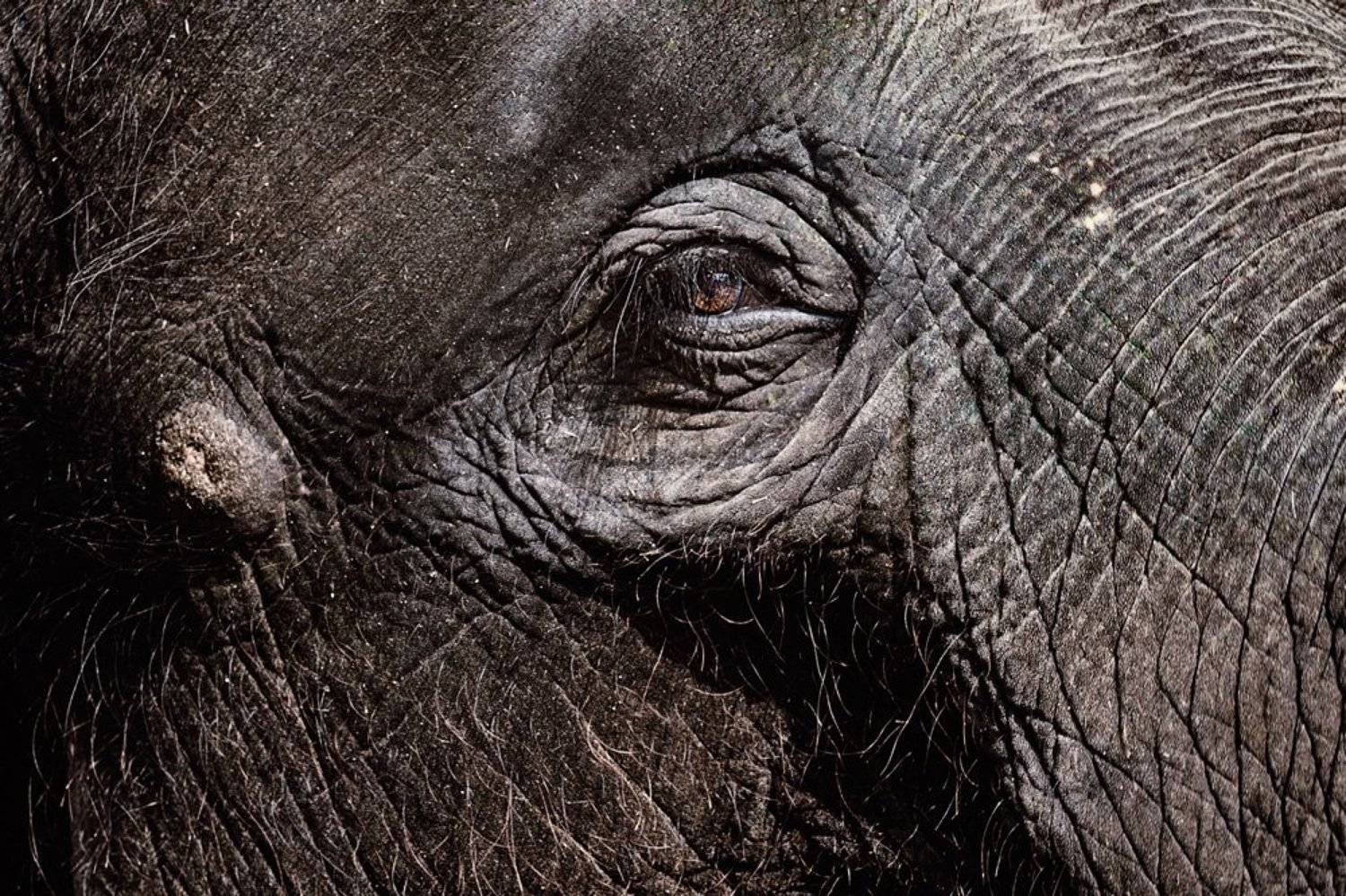 , Прожигин Максим