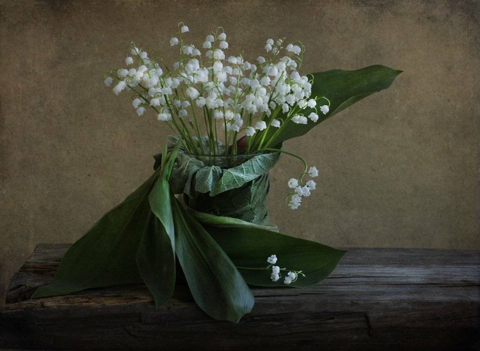 , Петрова Татьяна