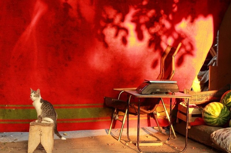 Продавщица фото превью