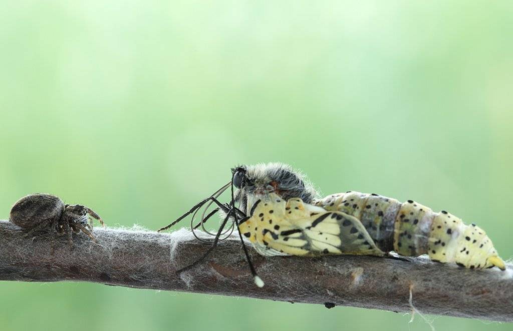 , Сергей Таланов