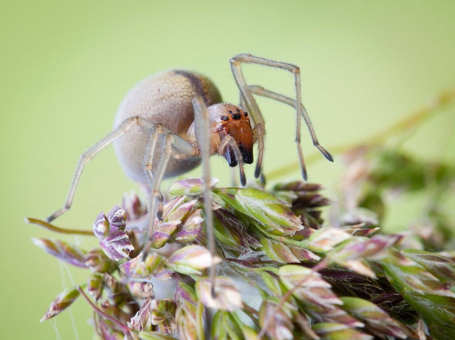 , Андрей Канышев