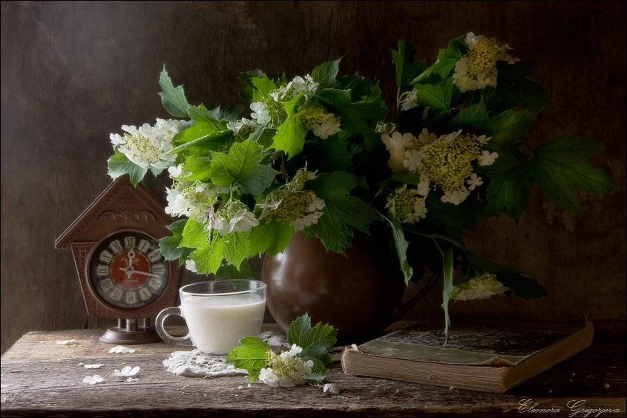 натюрморт, лето, калина, книга, молоко, натюрморт, Eleonora Grigorjeva