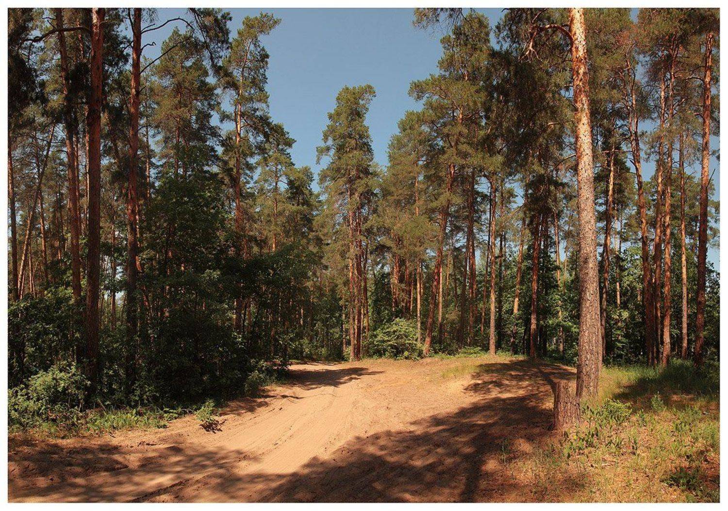 , Кулешов Евгений